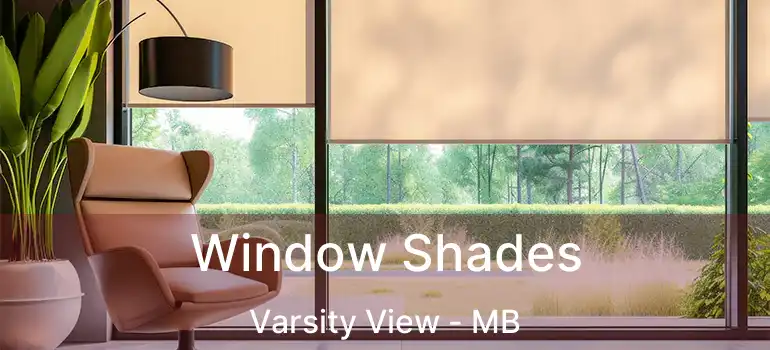  Window Shades Varsity View - MB