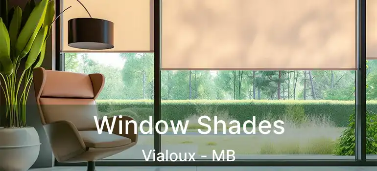  Window Shades Vialoux - MB
