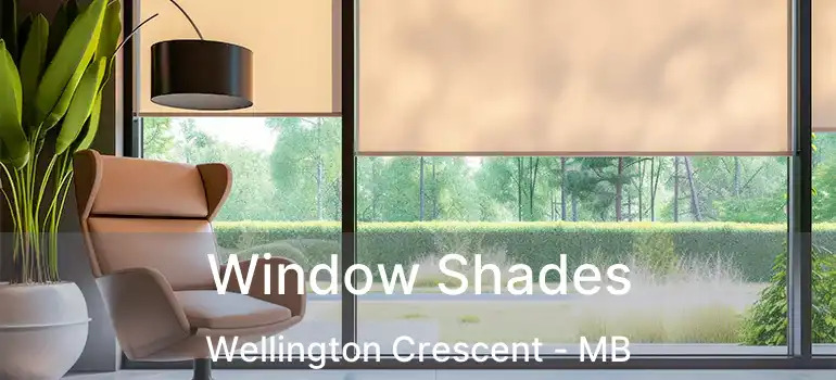  Window Shades Wellington Crescent - MB