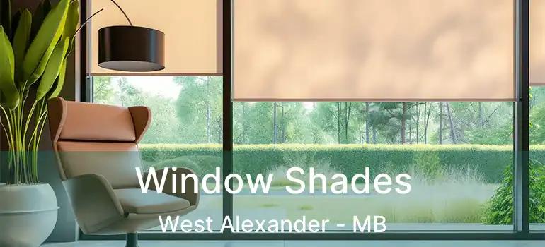  Window Shades West Alexander - MB