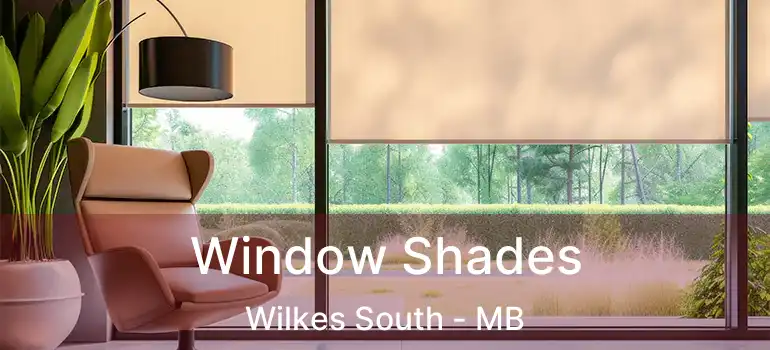  Window Shades Wilkes South - MB