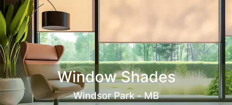  Window Shades Windsor Park - MB