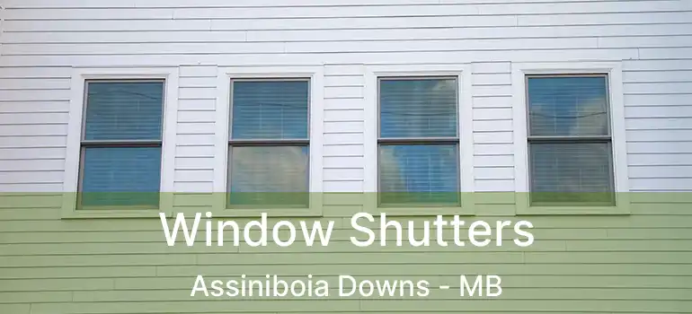 Window Shutters Assiniboia Downs - MB