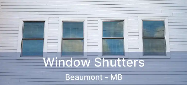  Window Shutters Beaumont - MB