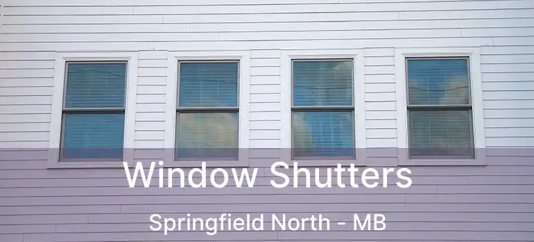  Window Shutters Springfield North - MB