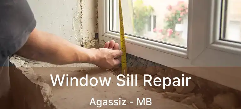  Window Sill Repair Agassiz - MB
