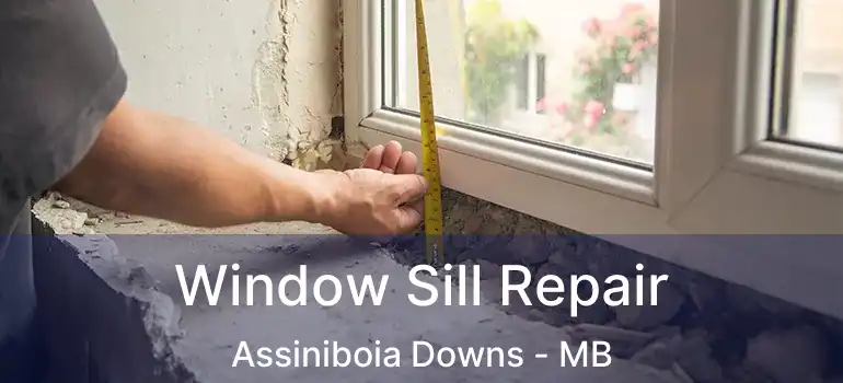  Window Sill Repair Assiniboia Downs - MB