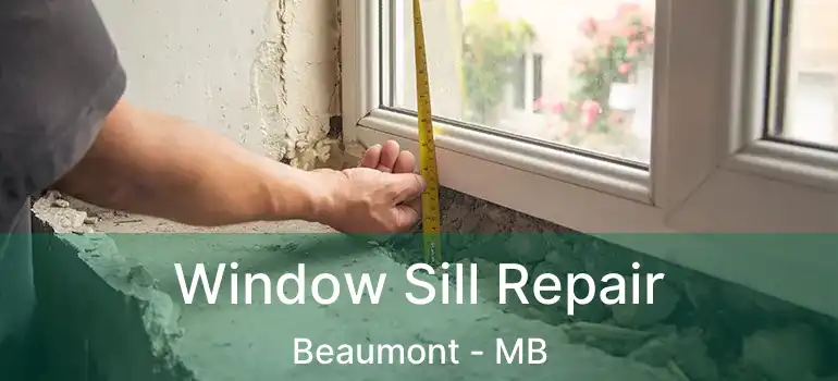  Window Sill Repair Beaumont - MB
