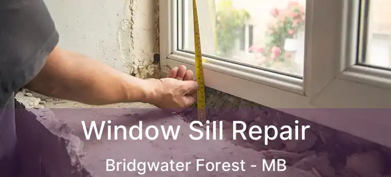  Window Sill Repair Bridgwater Forest - MB