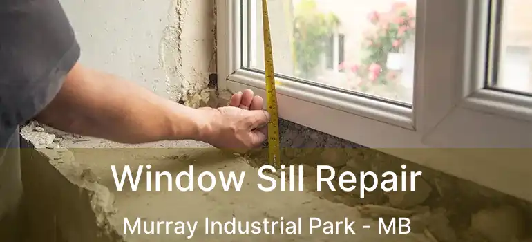  Window Sill Repair Murray Industrial Park - MB