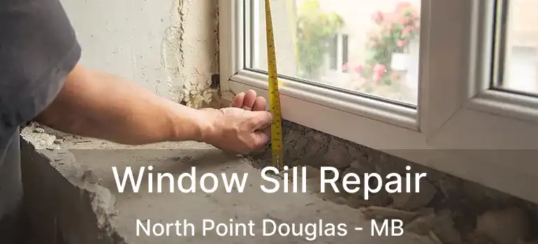  Window Sill Repair North Point Douglas - MB