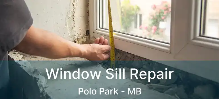  Window Sill Repair Polo Park - MB