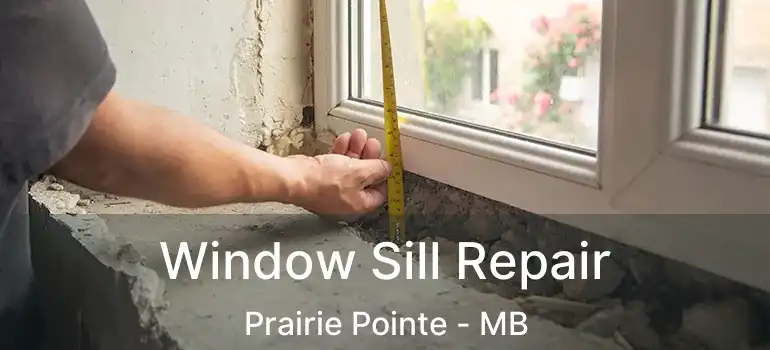  Window Sill Repair Prairie Pointe - MB