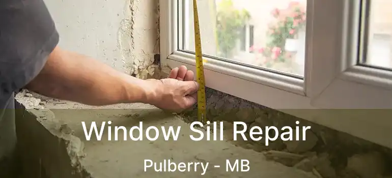  Window Sill Repair Pulberry - MB