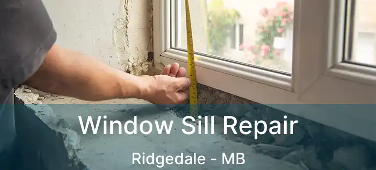  Window Sill Repair Ridgedale - MB