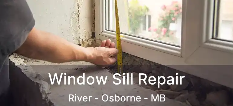  Window Sill Repair River - Osborne - MB