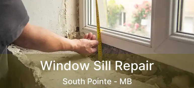  Window Sill Repair South Pointe - MB