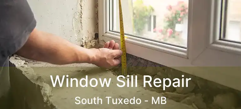  Window Sill Repair South Tuxedo - MB