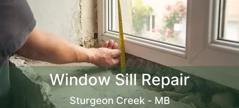  Window Sill Repair Sturgeon Creek - MB