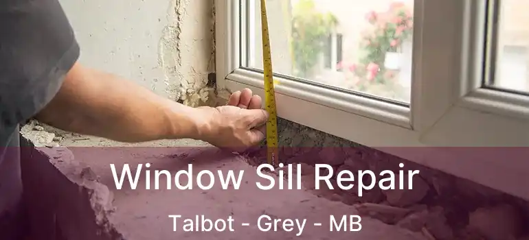 Window Sill Repair Talbot - Grey - MB