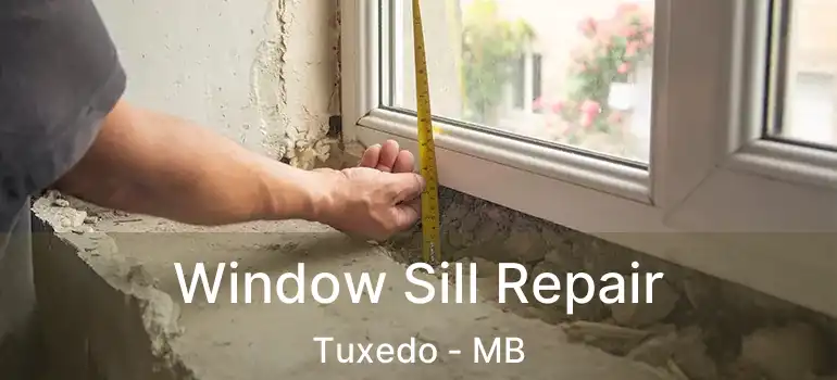  Window Sill Repair Tuxedo - MB