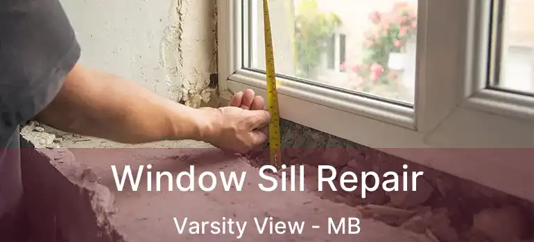  Window Sill Repair Varsity View - MB