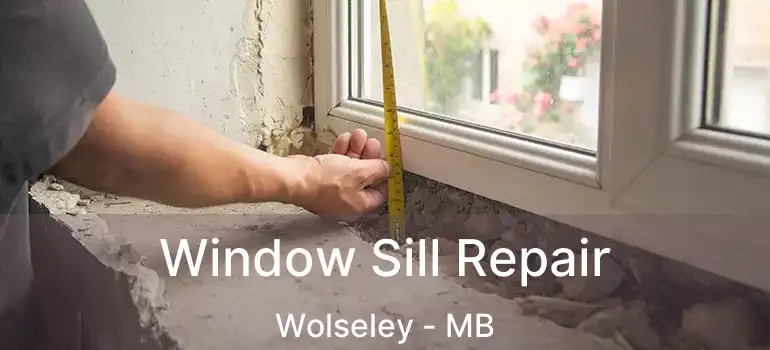  Window Sill Repair Wolseley - MB