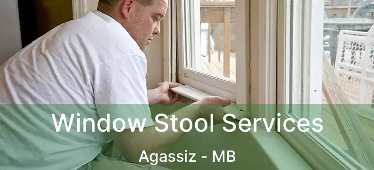  Window Stool Services Agassiz - MB
