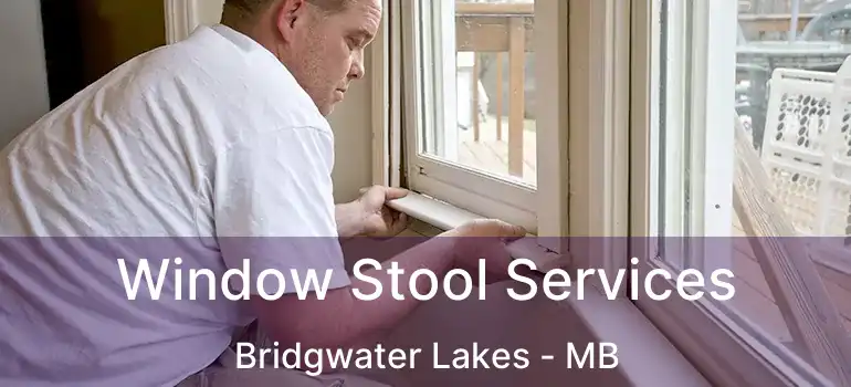  Window Stool Services Bridgwater Lakes - MB