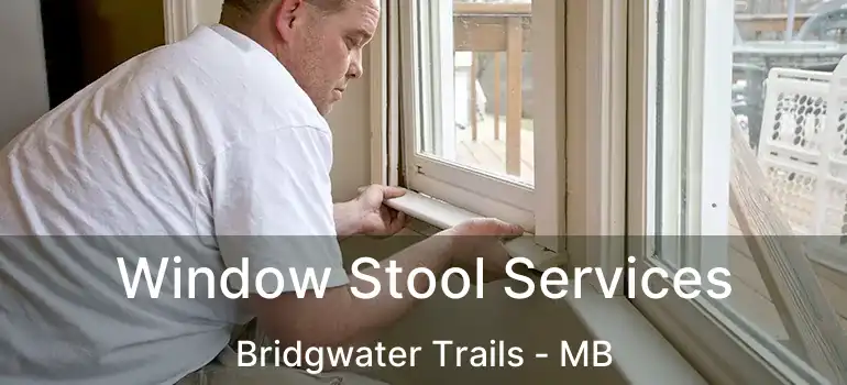  Window Stool Services Bridgwater Trails - MB
