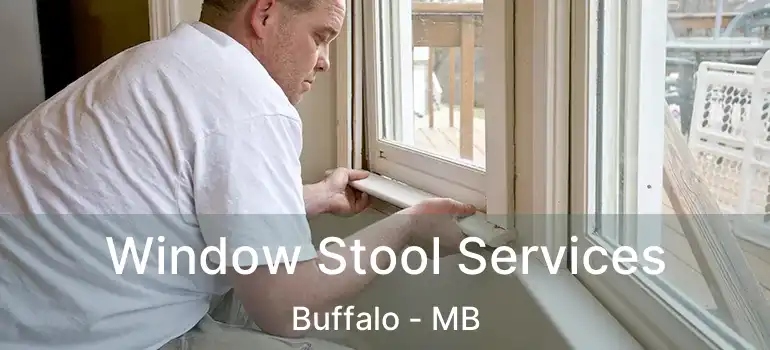  Window Stool Services Buffalo - MB