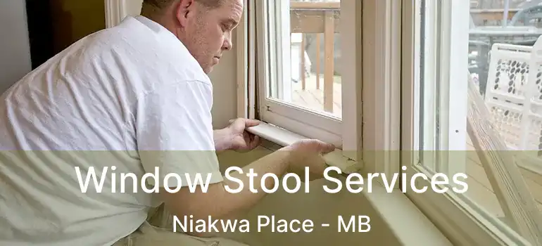  Window Stool Services Niakwa Place - MB