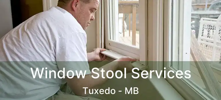  Window Stool Services Tuxedo - MB