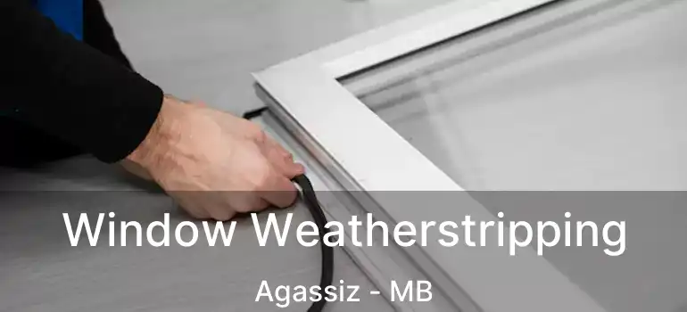  Window Weatherstripping Agassiz - MB