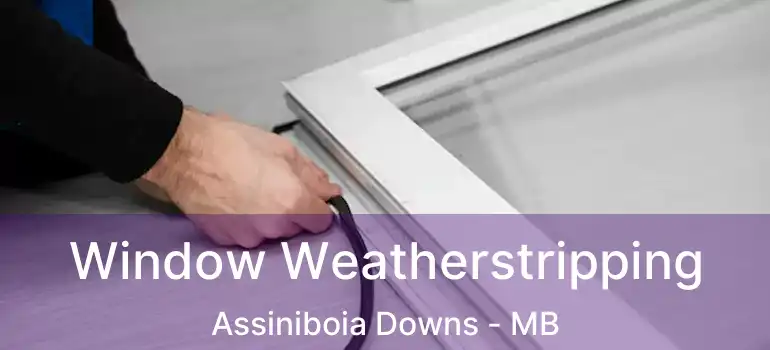  Window Weatherstripping Assiniboia Downs - MB