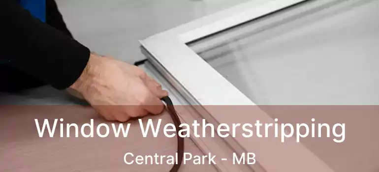  Window Weatherstripping Central Park - MB