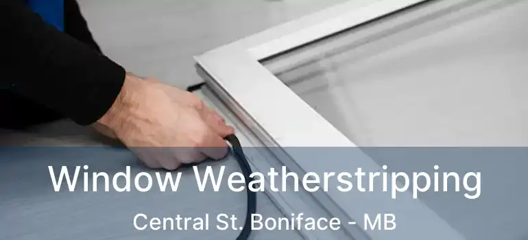  Window Weatherstripping Central St. Boniface - MB