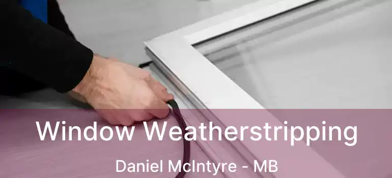  Window Weatherstripping Daniel McIntyre - MB