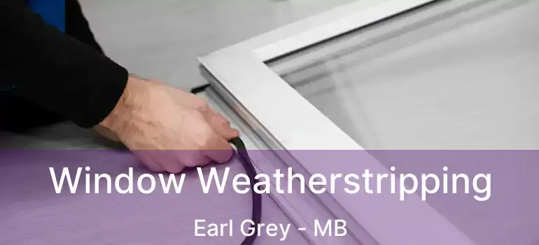  Window Weatherstripping Earl Grey - MB