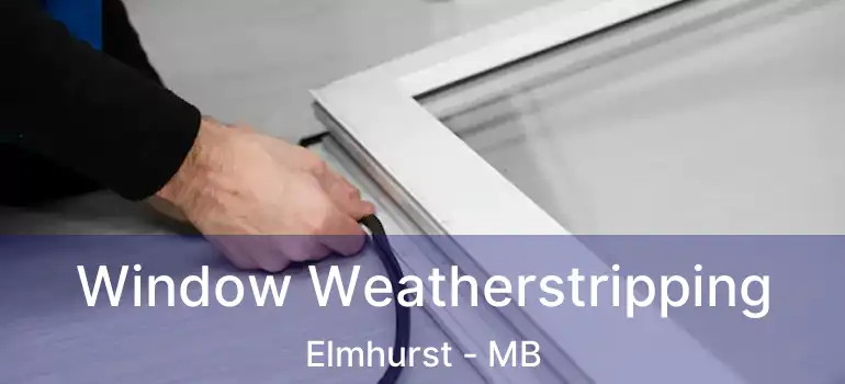  Window Weatherstripping Elmhurst - MB