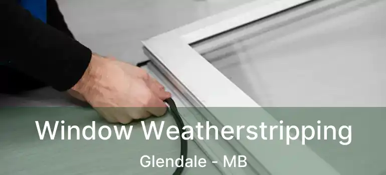  Window Weatherstripping Glendale - MB