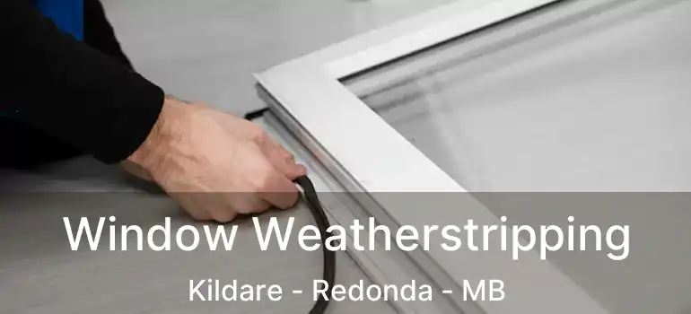  Window Weatherstripping Kildare - Redonda - MB