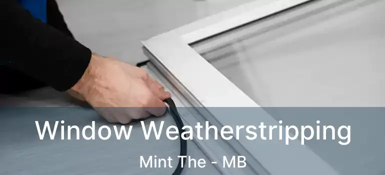  Window Weatherstripping Mint The - MB