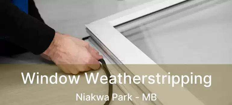  Window Weatherstripping Niakwa Park - MB
