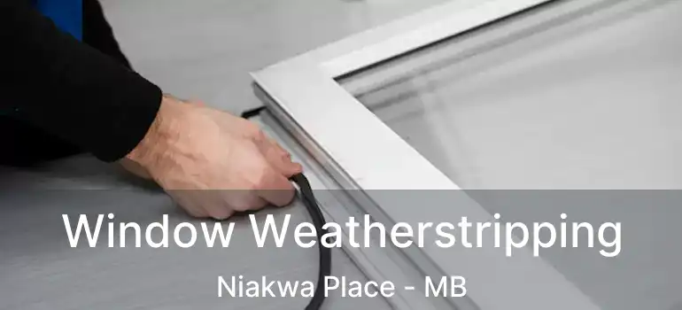  Window Weatherstripping Niakwa Place - MB