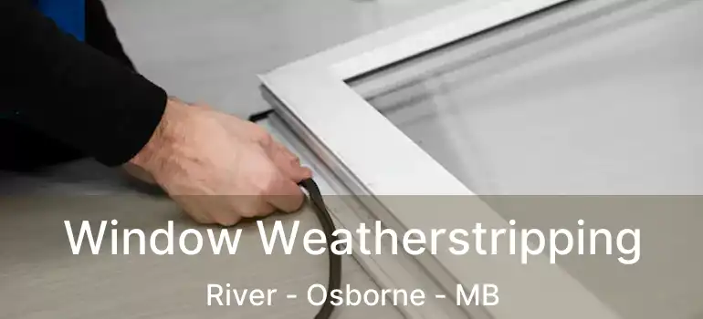  Window Weatherstripping River - Osborne - MB