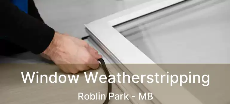  Window Weatherstripping Roblin Park - MB