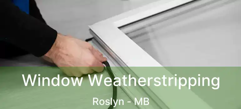  Window Weatherstripping Roslyn - MB