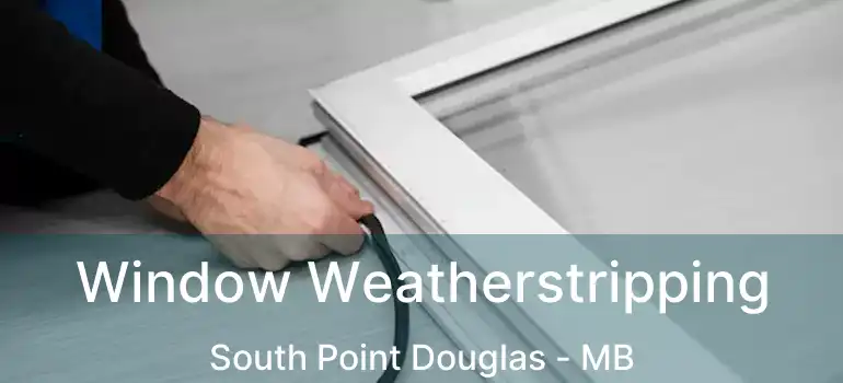  Window Weatherstripping South Point Douglas - MB
