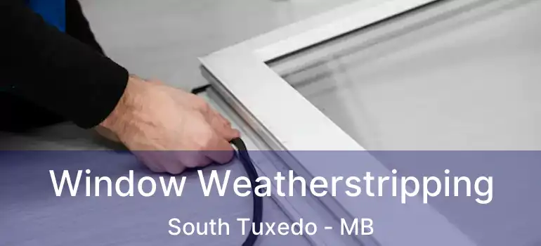  Window Weatherstripping South Tuxedo - MB